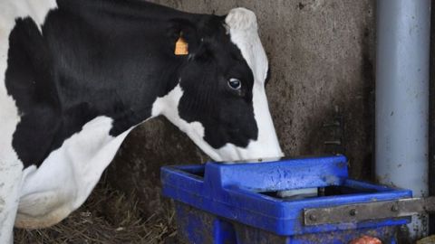 Du bicarbonate et de l’argile en libre-service pour alerter sur l’acidose