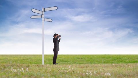 Les politiques au sens large doivent donner la ou les direction(s) d'une vraie politique agricole à long terme, une vision pour les 20 à 30 ans qui viennent. (©suphakit73 - Fotolia) 