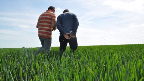 Globalement, peu d'agriculteurs ayant un enfant utilisent les services de remplacement pour profiter d'un congé paternité ou maternité. (©Terre-net Média)
