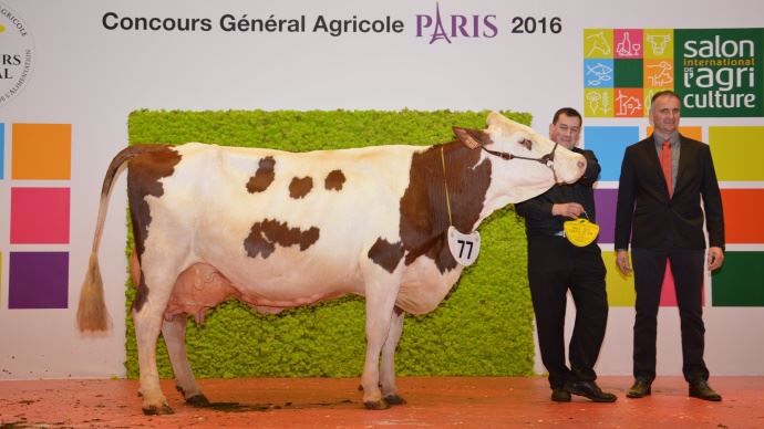 Alalée doyenne du concours