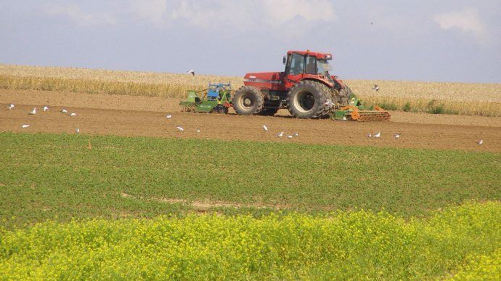 Le rapport du Conseil d'analyse économique sur l'agriculture française critique le système américain d'aides contracycliques, de même que les systèmes assurantiels. (©Terre-net Média)