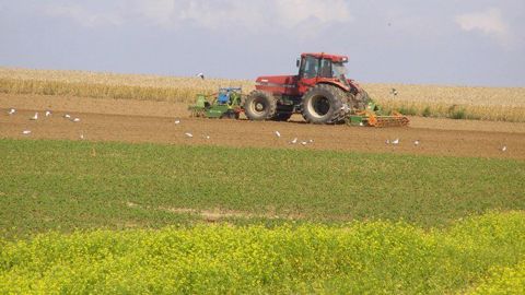 Le rapport du Conseil d'analyse économique sur l'agriculture française critique le système américain d'aides contracycliques, de même que les systèmes assurantiels. (©Terre-net Média) Le rapport du Conseil d'analyse économique sur l'agriculture française critique le système américain d'aides contracycliques, de même que les systèmes assurantiels. (©Terre-net Média)
