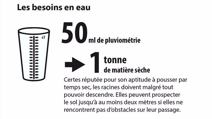 Les besoins en eau