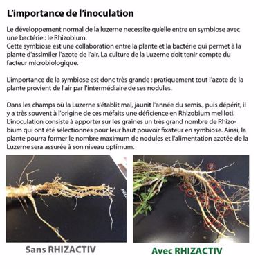 L'importance de l'inoculation 