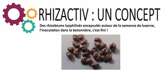 Rhizactiv : un concept