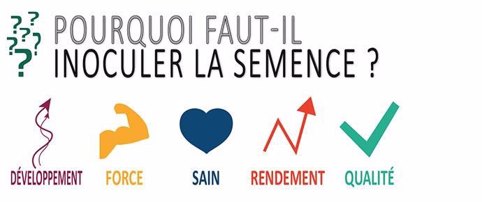 Pourquoi faut-il inoculer la semence ?