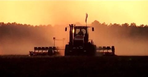 La CR 10.90 New Holland a pulvérisé le record du monde de récolte de blé avec sa barre de coupe de 13,7 m (©New Holland) 