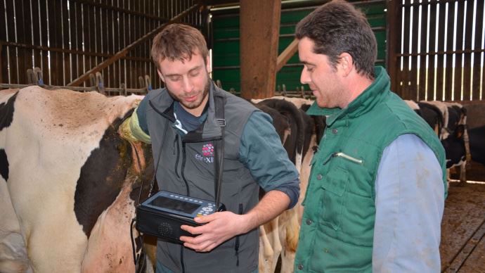 L'IA profonde échograpie vache laitière