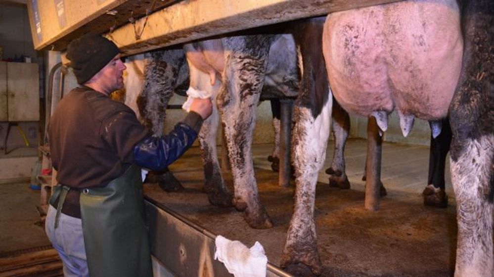 Web-agri vous souhaite un bon week-end de Pâques.  (©Terre-net Média)