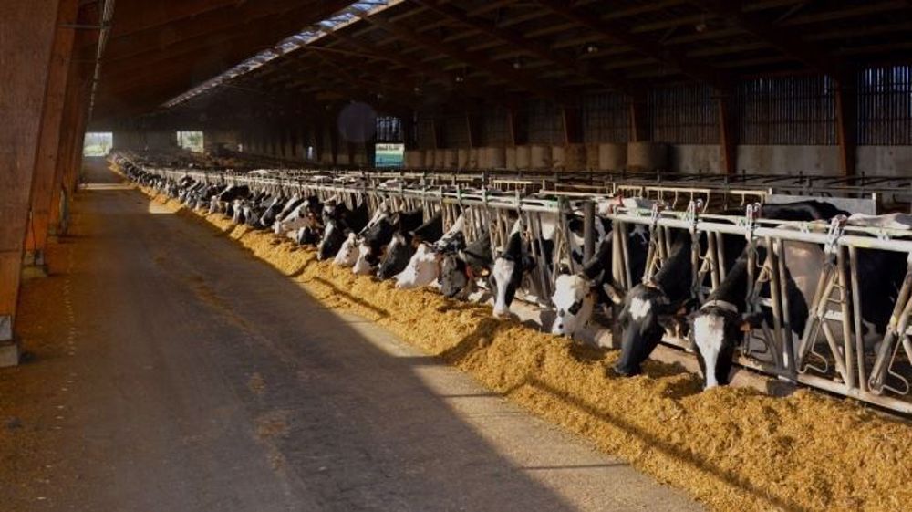 Les députés défendent notamment la non-cessibilité des contrats laitiers à titre onéreux. (©Terre-net Média)