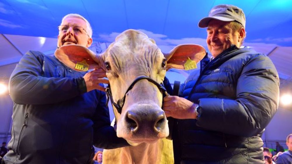 La grande championne Brune 2016 : Palma (Zeus CH) avec Carl Breudenburger (à gauche), manager de l'élevage Plautahof. Née sur l'élevage Plantahof, Palma arrive d'habitude toujours seconde sur les concours Brown Swiss. Meilleure mamelle et meilleure laitière de Mende avec 14 138 kg de lait et un cumul de 67 683 kg en six lactation, Palma a déjà été sacrée meilleure mamelle à Swiss Expo &agra