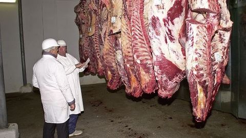 Les directeurs d'abattoir devraient porter, avec la loi Sapin 2, la responsabilité de la bientraitance des animaux abattus (©Watier visuels) Les directeurs d'abattoir devraient porter, avec la loi Sapin 2, la responsabilité de la bientraitance des animaux abattus (©Watier visuels)