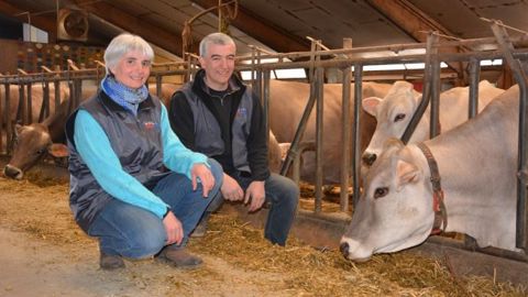 Patricia Bonnal et Eric Barbut travaillent à deux en Gaec avec 60 vaches en robot de traite et 70 ha labourables. (©Terre-net Média)