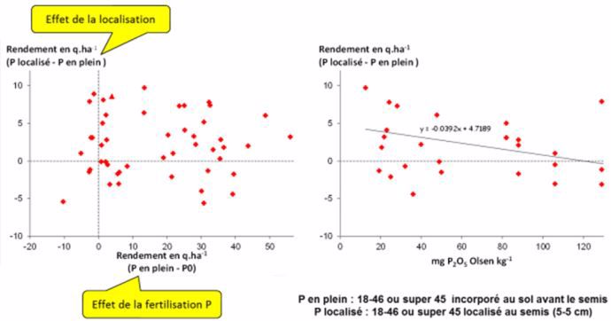Effet de la localisation du phosphore sur le rendement du maïs