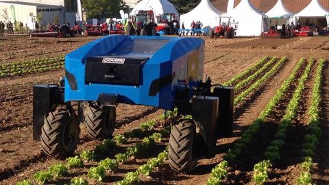 Avec son robot Anatis, Carré développe un système de capteurs pour détecter les besoins en eau des plantes. (©Carré) Avec son robot Anatis, Carré développe un système de capteurs pour détecter les besoins en eau des plantes. (©Carré)
