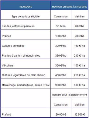 MAE pour le maintien et la conversion en agriculture biologique
