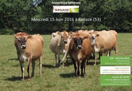 Renseignements auprès de Jersiaise France : <a href="mailto:bgs@union-bgs.com">bgs@union-bgs.com</a> 01 40 04 49 46 (©BGS) Renseignements auprès de Jersiaise France : <a href="mailto:bgs@union-bgs.com">bgs@union-bgs.com</a> 01 40 04 49 46 (©BGS)