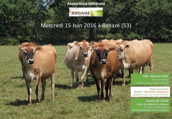 AG jersiaise France