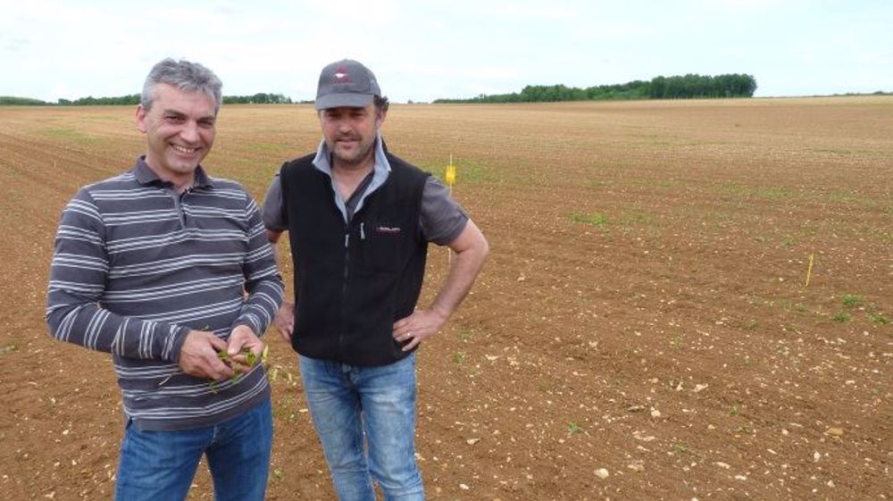 Reportage « le soja déplafonne le rendement de mon maïs et de mon blé