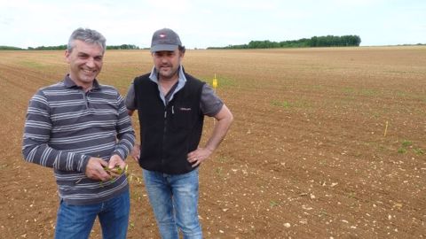 Samuel Arnault a réalisé un faux semis et a traité au glyphosate avant de semer son soja (©Terre-net Média)