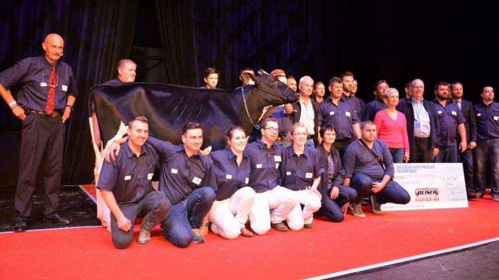 Meilleur prix pour Lusyn-Vray du Gaec Vray du Gaec Vray Holstein acquise par la famille Morille. <br />Sponsor de la vente, l'entreprise Beiser environnement a offert un bon d'achat de 500 € à chaque acquéreur. (©Terre-net Média) 