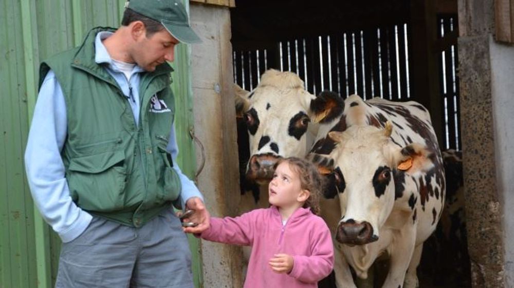 Bon sang ne saurait mentir ! Neuf fois sur dix, le virus de l'élevage se transmet d'une génération à l'autre.   (©Terre-net Média au <a target="_self" href="http://www.web-agri.fr/conduite-elevage/genetique-race/article/de-belles-performances-pour-les-croisees-holstein-x-normande-des-petits-vaux-1175-111792.html">Gaec des Petits Vaux</a>)