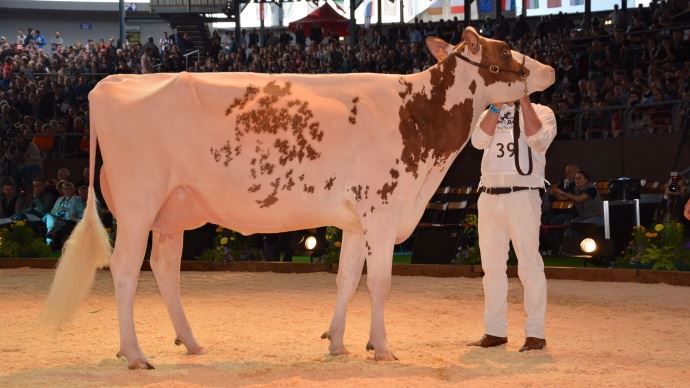 Une française sur le podium ! Du Luvion HAWAI à l’Earl Lepoint (59)