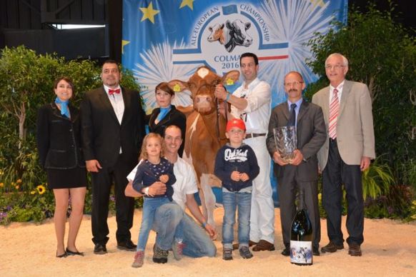 La grande championne Red Holstein Irene