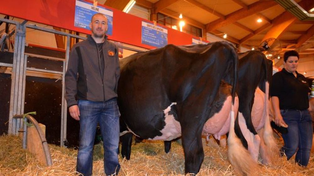  Grâce à Héline (Chelios x Umanoir), Clément a beaucoup appris sur les concours en compagnie des meilleurs éleveurs Prim’holstein de show. (©Terre-net Média)