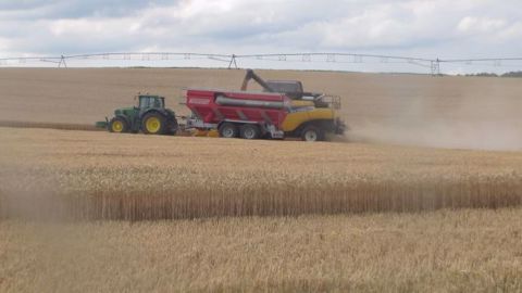 La récupération des menues pailles limite le stock semencier en mauvaises herbes de la parcelle (©Terre-net Média)