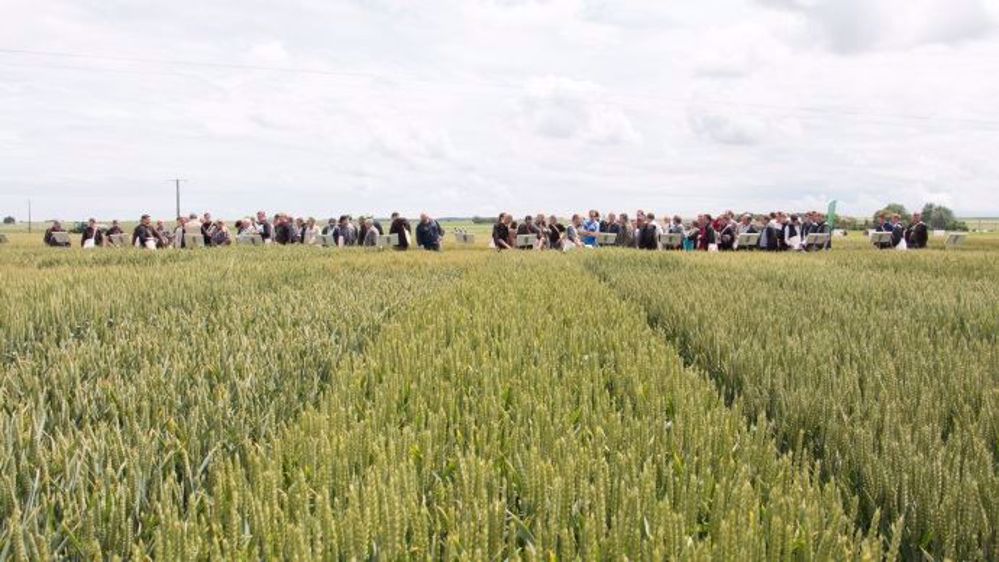 2 200 agriculteurs adhérents étaient au rendez-vous lors du Techniday le 16 juin (©Unéal)
