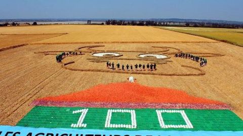 Création au champ des agriculteurs de la Manche, lors du Tour de France 2016 samedi 2 juillet 2016. (©Terre-net Média) 