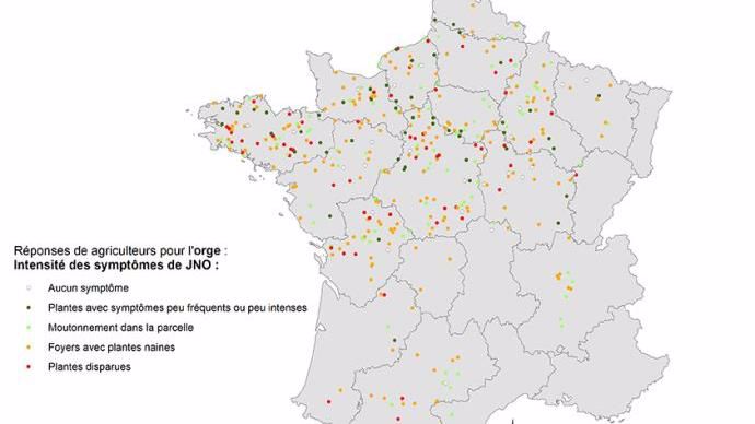 Réponse des agriculteurs pour l'orge