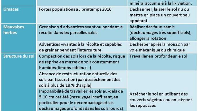 Impact des intempéries sur la gestion de l'interculture