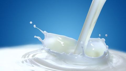 La Commission Européenne débloque une nouvelle enveloppe pour inciter à réduire la production de lait en Europe. (©Fotolia) La Commission Européenne débloque une nouvelle enveloppe pour inciter à réduire la production de lait en Europe. (©Fotolia)
