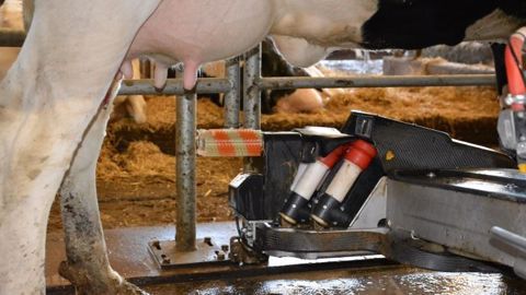 Stéphane Le Foll s'est félicité de l'octroi d'une enveloppe de 500 millions d'euros aux producteurs laitiers européens. (©Terre-net Média)