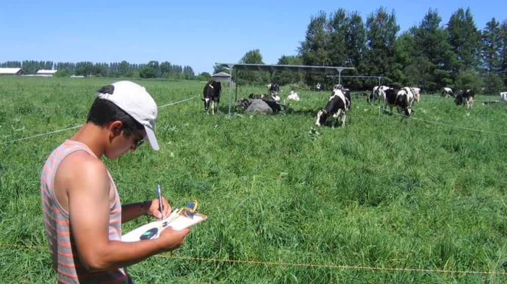 Ces ombrières mobiles sont des structures de 6 m sur 3 m arrêtant 80 % du rayonnement solaire. Elles permettent d’abriter 4 à 5 vaches ; la moitié du troupeau bénéficiait de ces parasols, l’autre non. Les vaches ayant accès à l’ombre y ont passé 50 % de leur temps au pâturage. (©CRPLB)