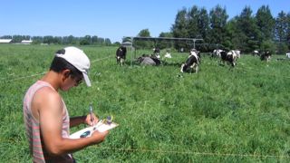 Ces ombrières mobiles sont des structures de 6 m sur 3 m arrêtant 80 % du rayonnement solaire. Elles permettent d’abriter 4 à 5 vaches ; la moitié du troupeau bénéficiait de ces parasols, l’autre non. Les vaches ayant accès à l’ombre y ont passé 50 % de leur temps au pâturage. (©CRPLB) Ces ombrières mobiles sont des structures de 6 m sur 3 m arrêtant 80 % du rayonnement solaire. Elles permettent d’abriter 4 à 5 vaches ; la moitié du troupeau bénéficiait de ces parasols, l’autre non. Les vaches ayant accès à l’ombre y ont passé 50 % de leur temps au pâturage. (©CRPLB)