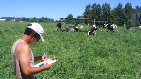 Ces ombrières mobiles sont des structures de 6 m sur 3 m arrêtant 80 % du rayonnement solaire. Elles permettent d’abriter 4 à 5 vaches ; la moitié du troupeau bénéficiait de ces parasols, l’autre non. Les vaches ayant accès à l’ombre y ont passé 50 % de leur temps au pâturage. (©CRPLB)