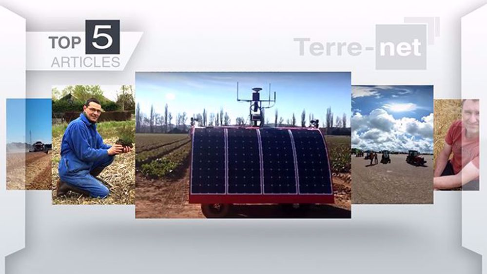 Le top 5 des articles les plus lus cette semaine sur Terre-net. (©Terre-net Média )