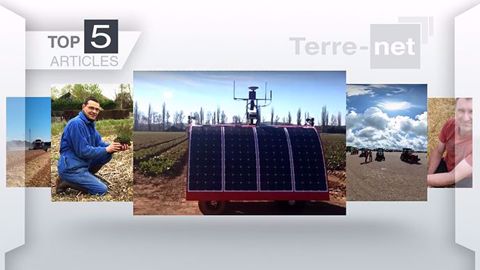 Le top 5 des articles les plus lus cette semaine sur Terre-net. (©Terre-net Média ) Le top 5 des articles les plus lus cette semaine sur Terre-net. (©Terre-net Média )