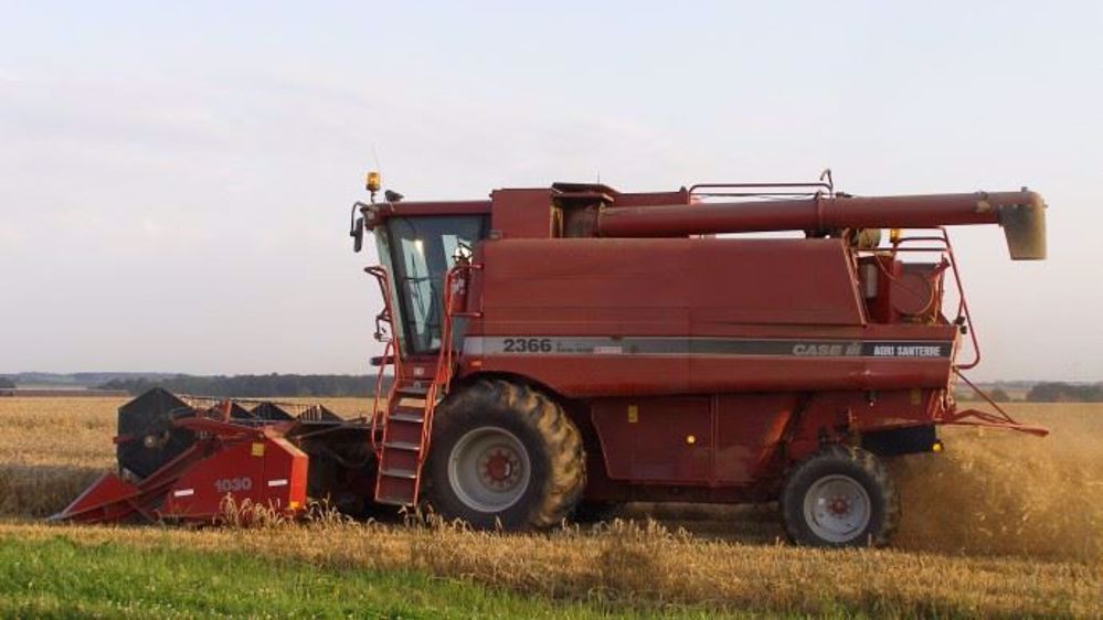 Le chiffre de 40 q en blé est annoncé dans plusieurs régions françaises. (© Terre-net Média)