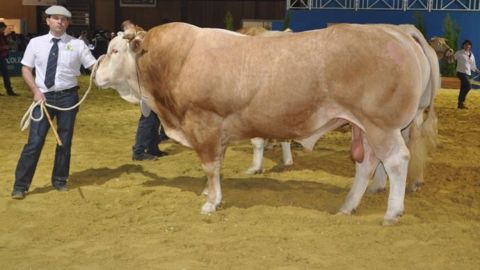 Palmarès du concours national blonde d'Aquitaine 2016 à Mayenne