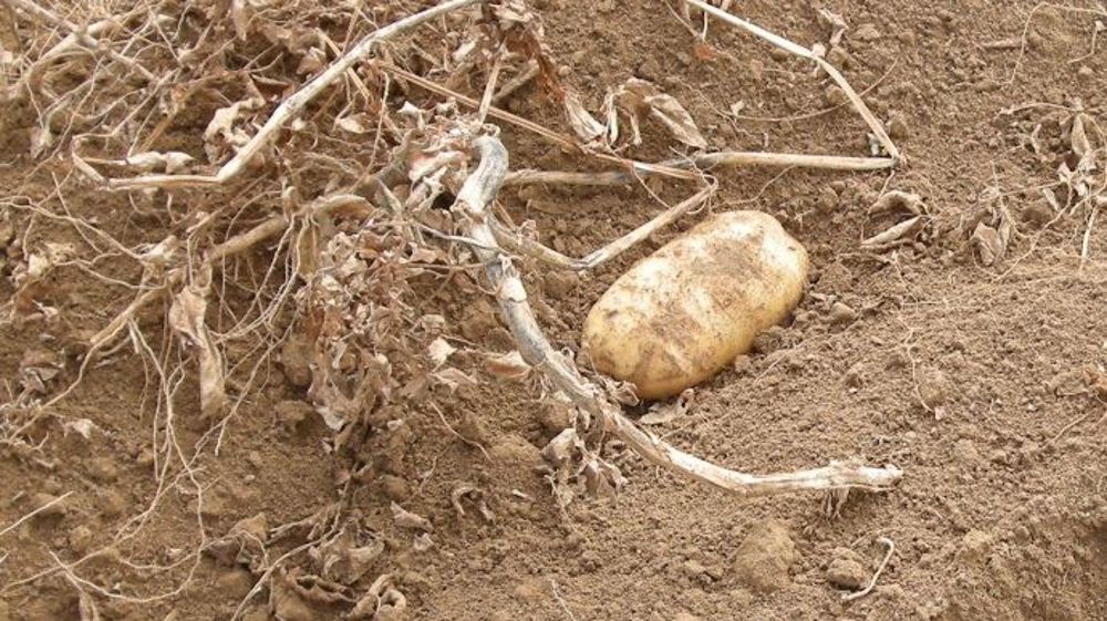 Les Victoires PROfil récompensent les innovations de la filière (©Terre-net Média)