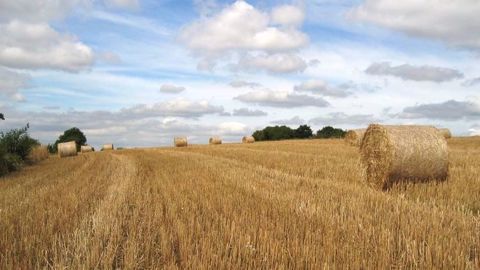 Un bref pic caniculaire a été enregistré dans certaines régions, avec des records de chaleur mensuels, voire annuels en Bretagne. (©Fotolia) Un bref pic caniculaire a été enregistré dans certaines régions, avec des records de chaleur mensuels, voire annuels en Bretagne. (©Fotolia)