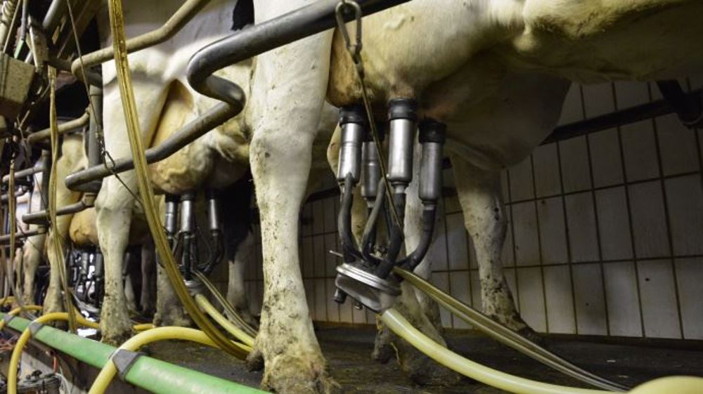 Les producteurs et Lactalis ont trouvé un accord sur le prix du lait. (©Terre-net Média)