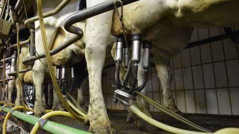 Les producteurs et Lactalis ont trouvé un accord sur le prix du lait. (©Terre-net Média)