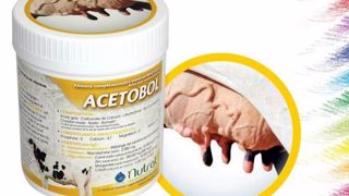 Acetobol, un bolus fonctionnel pour soulager le foie des vaches laitières. (©Nutral) Acetobol, un bolus fonctionnel pour soulager le foie des vaches laitières. (©Nutral)