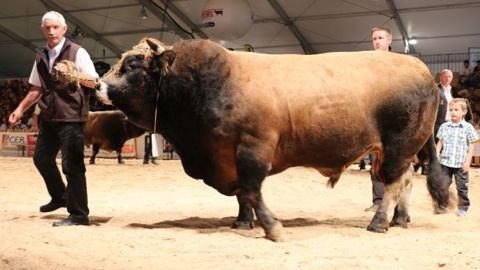 La semaine des races locales des massifs du 16 au 25 septembre dans le Cantal