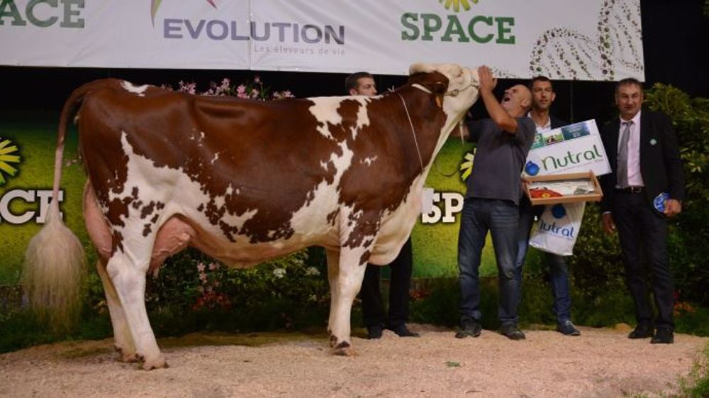 Beauté au Gaec Gutknecht de la Haute-Saône (©Terre-net Média) 